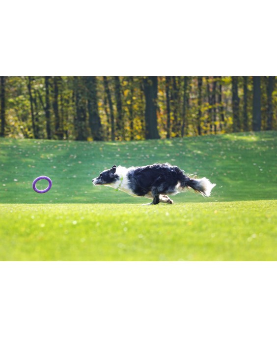 Žaislas - mankštos priemonė šunims PULLER Midi 20 cm