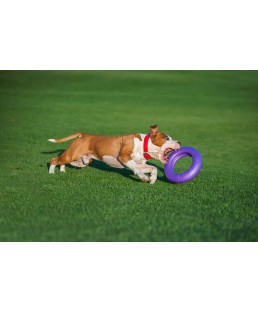 Žaislas - mankštos priemonė šunims PULLER Maxi 30 cm