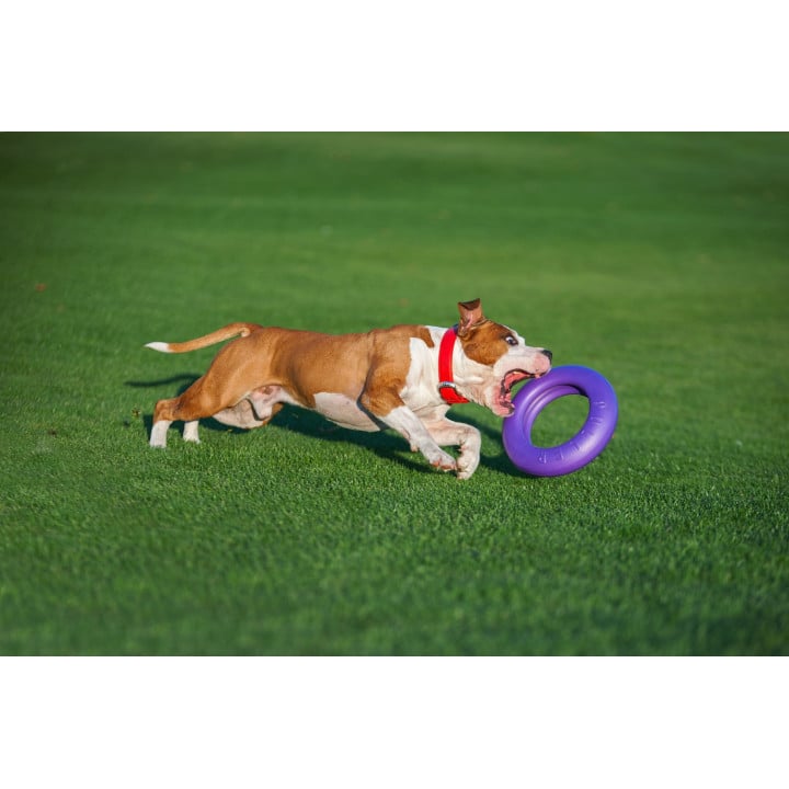 Žaislas - mankštos priemonė šunims PULLER Maxi 30 cm