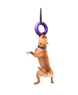 Žaislas - mankštos priemonė šunims PULLER Maxi 30 cm