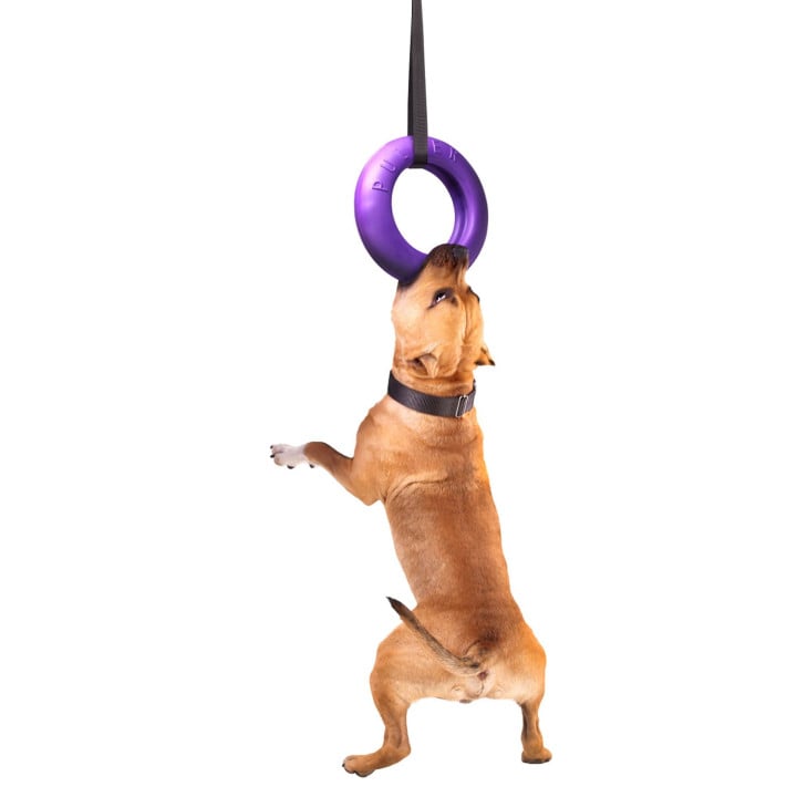 Žaislas - mankštos priemonė šunims PULLER Maxi 30 cm