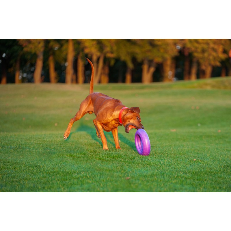 Žaislas - mankštos priemonė šunims PULLER Maxi 30 cm