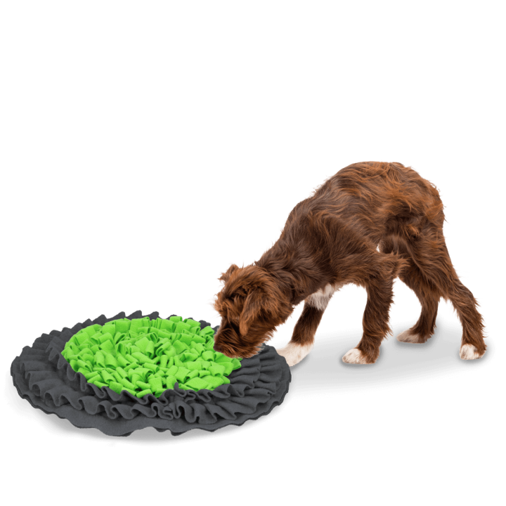 Uostymo kilimėlis šunims, žalias/pilkas „Snuffle Mat Groen“ ESLL