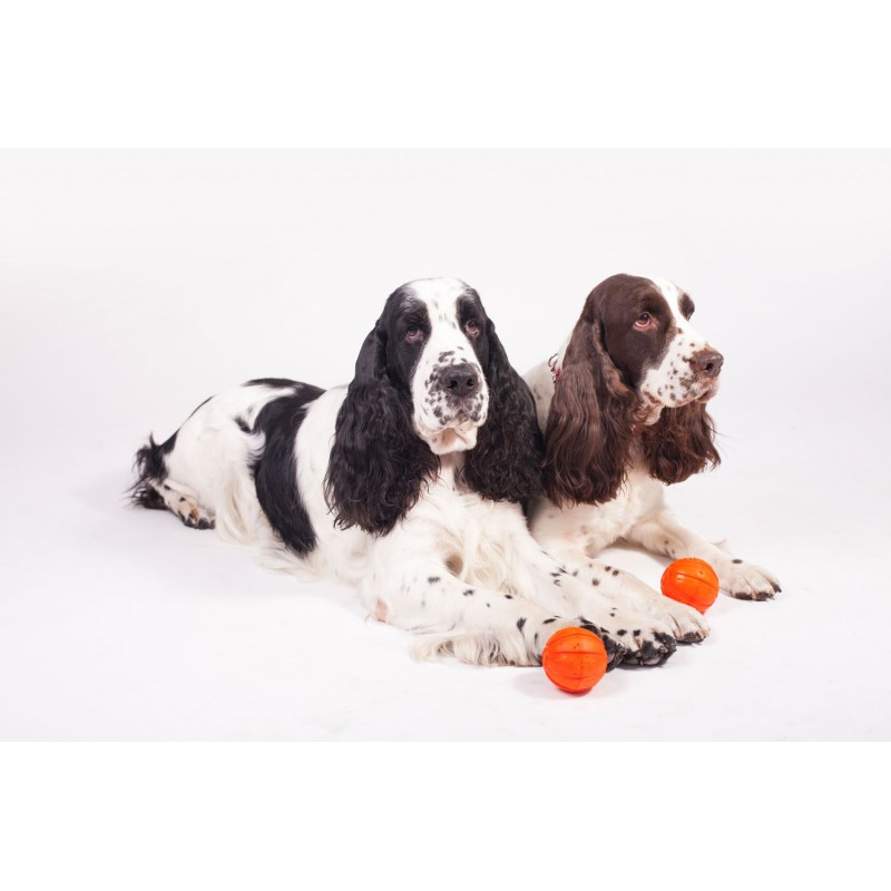 Žaislas šunims kamuoliukas LIKER 11 cm