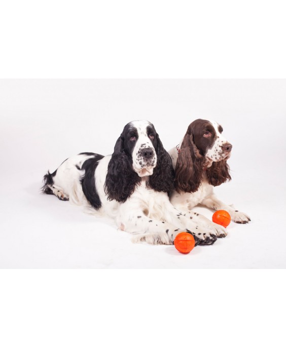 Žaislas šunims kamuoliukas LIKER 11 cm