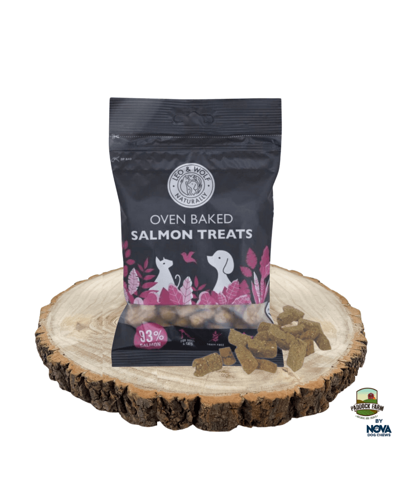 Orkaitėje kepti skanėstai šunims su lašiša „Salmon Treats“ 100g, Leo & Wolf