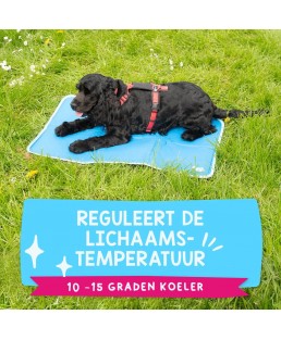 Vėsinantis kilimėlis vidutiniams šunims, CoolPets Premium Cooling Mat M (50x76cm)