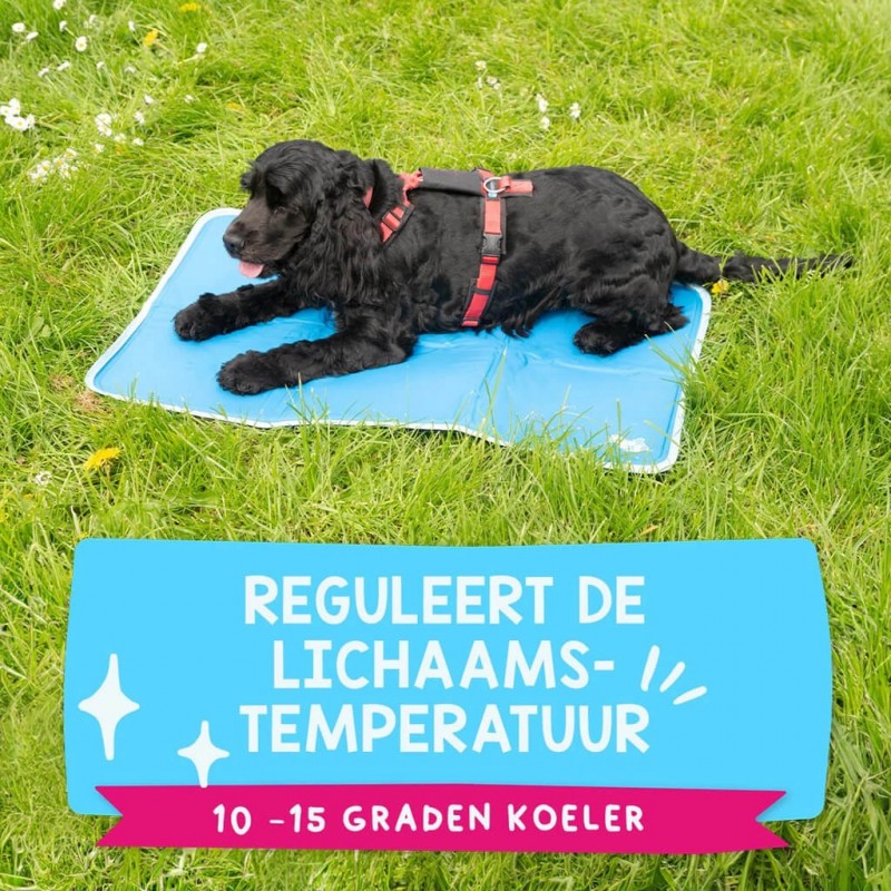 Vėsinantis kilimėlis vidutiniams šunims, CoolPets Premium Cooling Mat M (50x76cm)