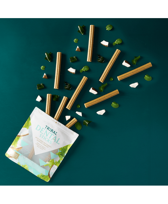 Dantų lazdelės didelių veislių šunims – Tribal Large Dental Sticks