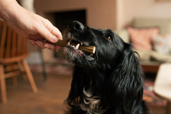 tribal dental sticks šunims
