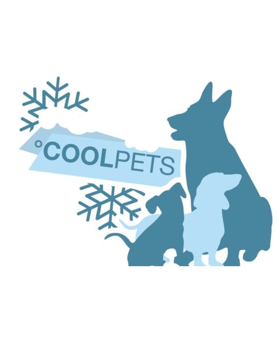 CoolPets