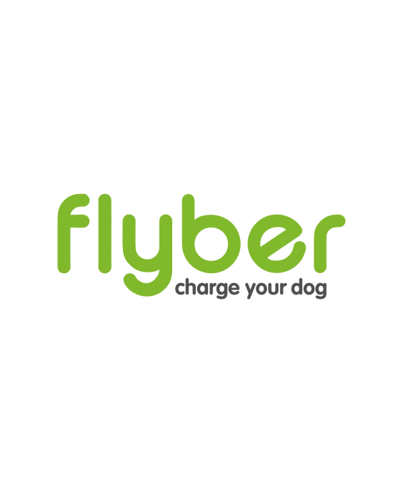 Flyber