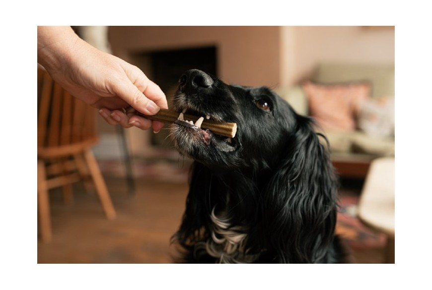 Naujiena: geresnė šuns dantų sveikata su Tribal dantų lazdelėmis